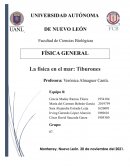 La física en el mar: Tiburones