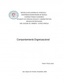 Comportamiento organizacional . Aplicaciones