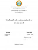 Estudio de la actividad enzimática de la amilasa salival