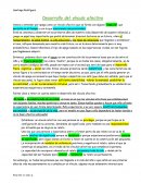 Desarrollo y tipos de vínculos afectivos