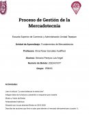 Proceso de gestion de la mercadotecnia