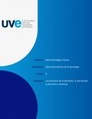 Los procesos de la sensación, la percepción, la atención y memoria