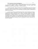 Conclusiones Generales del Diagnóstico