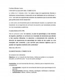 Conceptualización del curriculum