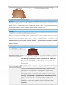 Ficha tecnica de cuero bovino