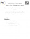 Ensayo academico sobre las consecuencias de la contaminación en los océanos