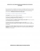 Entrevista a un comprador en un supermercado de nuestra localidad