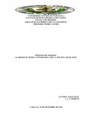 Academia platónica: ontología, ética y política de Platón