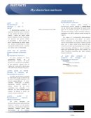 Mycobacterium marinum