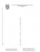 Dirección de Empresa Surgikos S. A