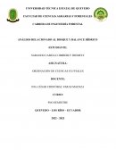 Análisis relacionado al bosque y balance hídrico