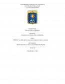 La cultura del cine ejerce gran impacto en todos sus usuarios