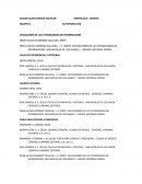 Aplicacion de las tecnologias de informacion