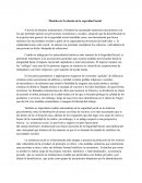 Modelos de Evolución de la seguridad Social