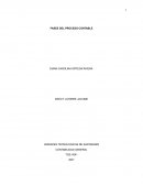 Fases del proceso contable