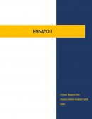 Funciones del marketing Plásticos Rex