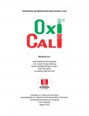 Estrategia de innovación para Oxicali Ltda