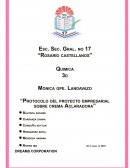 Protocolo del proyecto empresarial sobre crema Aclaradora