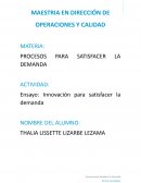 Ensayo: Innovación para satisfacer la demanda