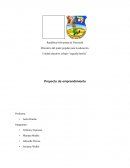 Proyecto de emprendimiento