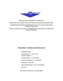 Paradigmas y abordaje metodológico