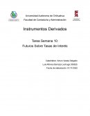 Futuros sobre tasas de interes