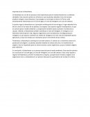 Importancia de la fotosintesis