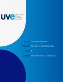 Desarrollo humano y sus influencias