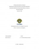 Informe – Fases previa a la investigación