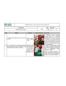 Informe PriceSmarr - Visita de inspección sobre Riesgo Químico