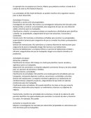 Cadena de valor RIU Hotels & Resorts