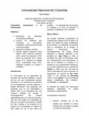 Laboratorio introducción a la microscopia