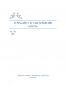 Indicadores de una operación minera