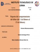 Reporte del dólar mes de febrero