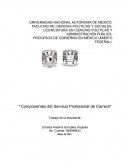 Procesos de Gobierno en México (Ámbito Federal)