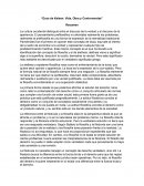 Resumen - Ecos de Kelsen