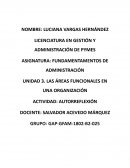 Las áreas funcionales en una organización