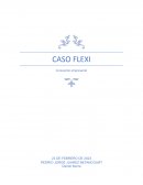 Caso FLEXI. Innovación empresarial