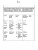 Dirección De Marketing . Habilidades directivas