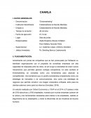 Endomarketing charla