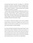 Ejemplo de diagnostico La Escuela Primaria