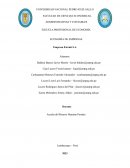 Economía de empresas.Caso Empresa Eternit S.A