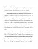 Grupo Sector: Fintech. Industria: Medios de pago online