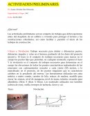 Las actividades preliminares