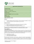 Diario Práctica Pedagógica