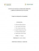 Compra con sobreprecios en la pandemia