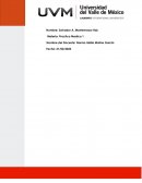 El uso de plantas y hierbas medicinales