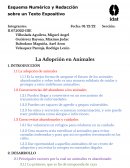 La Adopción en Animales