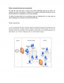 Redes corporativas/escenario empresarial