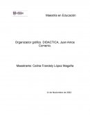 Organizador gráfico. DIDACTICA, Juan Amos Comenio